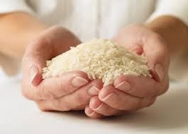 خرید و قیمت برنج دانه بلند شمال + فروش عمده